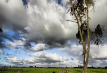 开云体育-阿根廷险胜马德里竞技，阿拉巴爆发神勇——足球夜的精彩瞬间与幕后故事