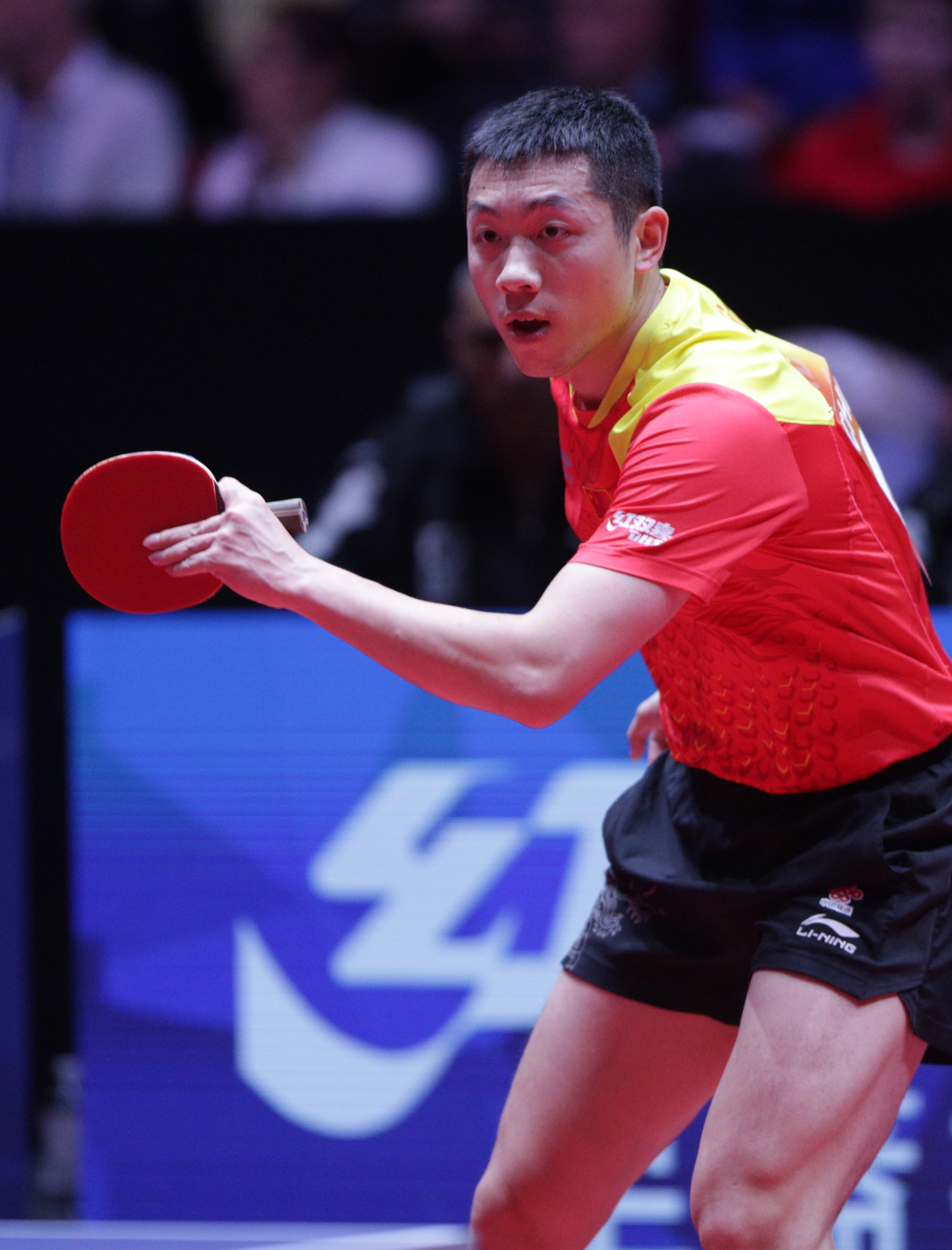 关于比利时乒乓球队血洗奥地利乒乓球队,许昕爆发神勇的信息 关于比利时乒乓球队血洗奥地利乒乓球队,许昕爆发神勇的信息